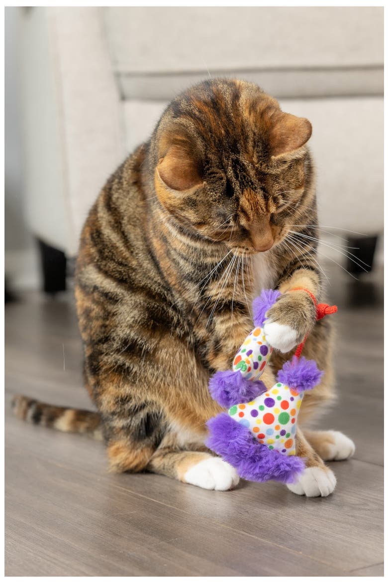2-Pack Cat Party Hat Toys, Alternate, color, PURPLE