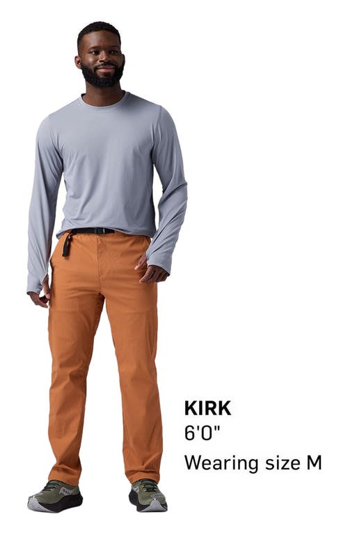 Backcountry Wasatch Ripstop Pant In Brown