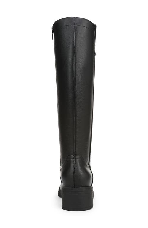 Blowfish Malibu Nomads Tall Riding Boot In Black