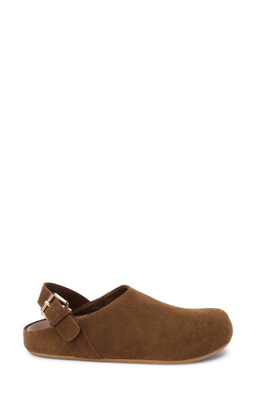Matisse 'otto' Pointy Toe Chelsea Boot In Brown
