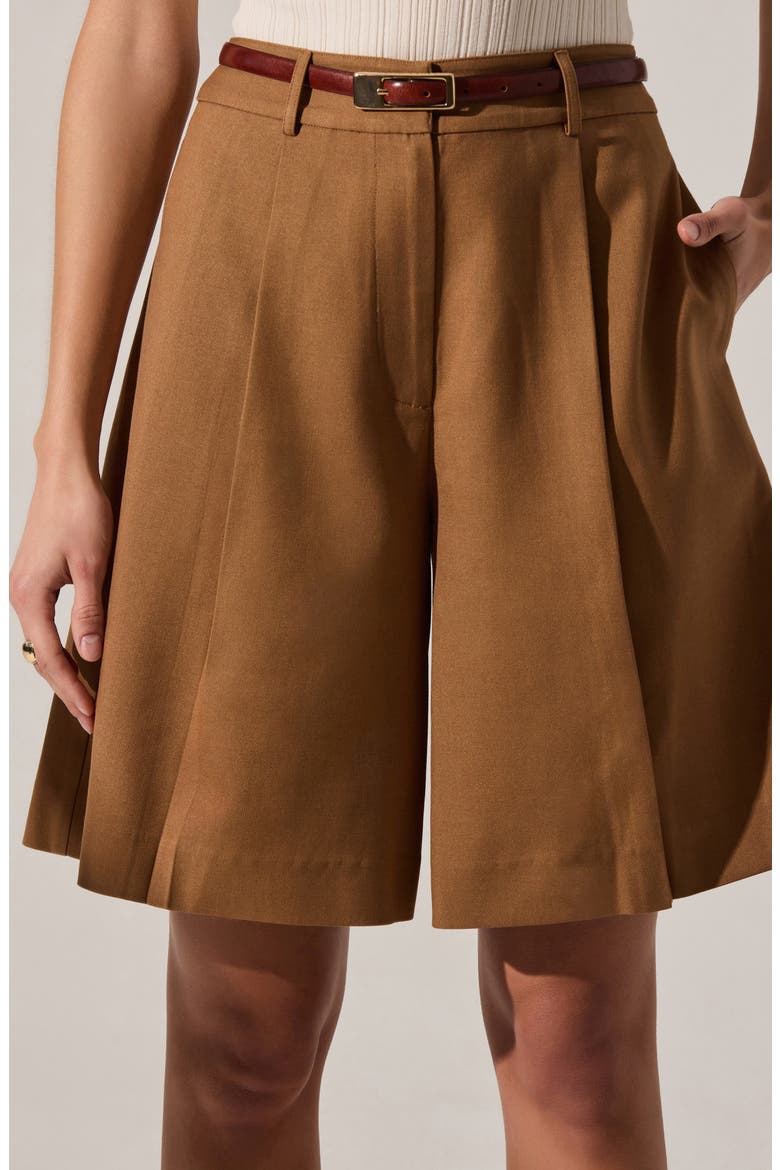 Quillie Pleated Bermuda Shorts, Alternate, color, DARK KHAKI