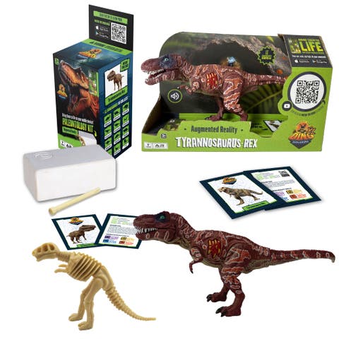 Ar Dinosaur Xl and Brick Combo 10 Inch T Rex Figure and Dig Kit