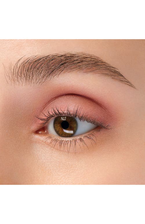 Anna Sui Matte Eye Color In Cocoa Sweet Pink 301