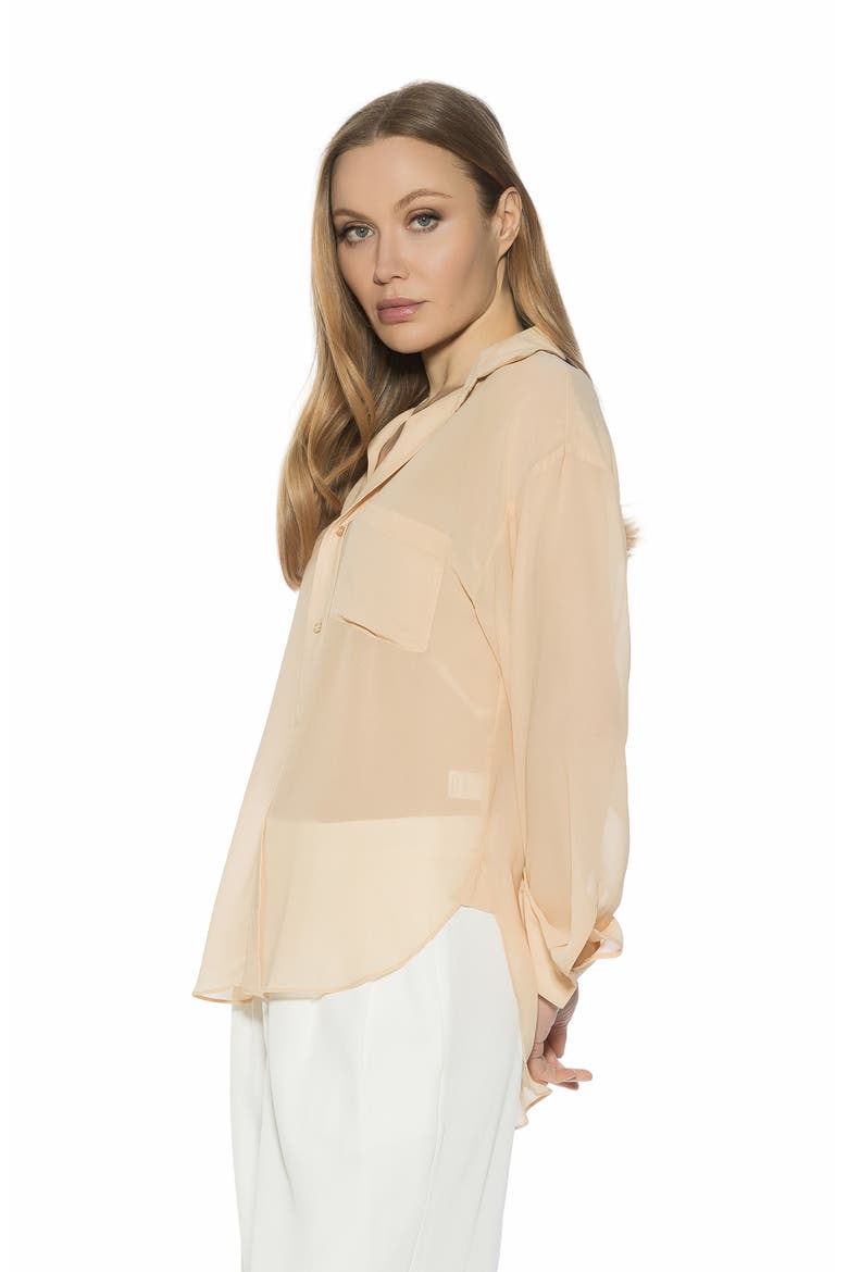 Atticus Sheer Button Up Shirt, Alternate, color, BEIGE