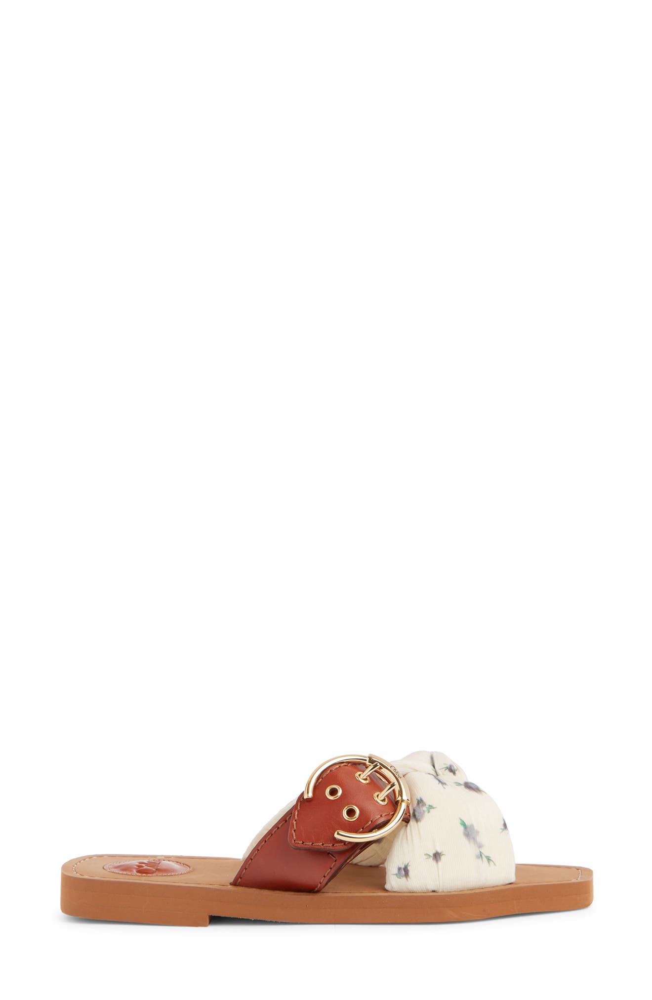 Chloé Woody Buckle Slide Sandal, Alternate, color, 