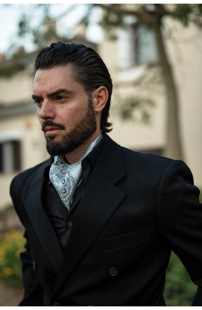 Elizabetta Bugatti - Silk Ascot Cravat Tie for Men, Alternate, color, Grey