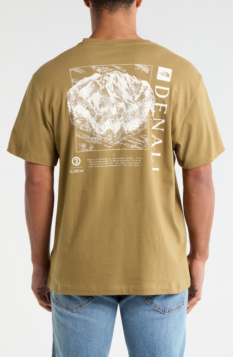 The North Face Places We Love - Denali Cotton Graphic T-Shirt, Alternate, color, Cedar