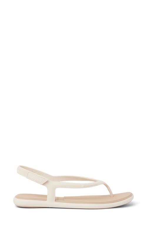 Reef Water Willow Maya Slingback Sandal