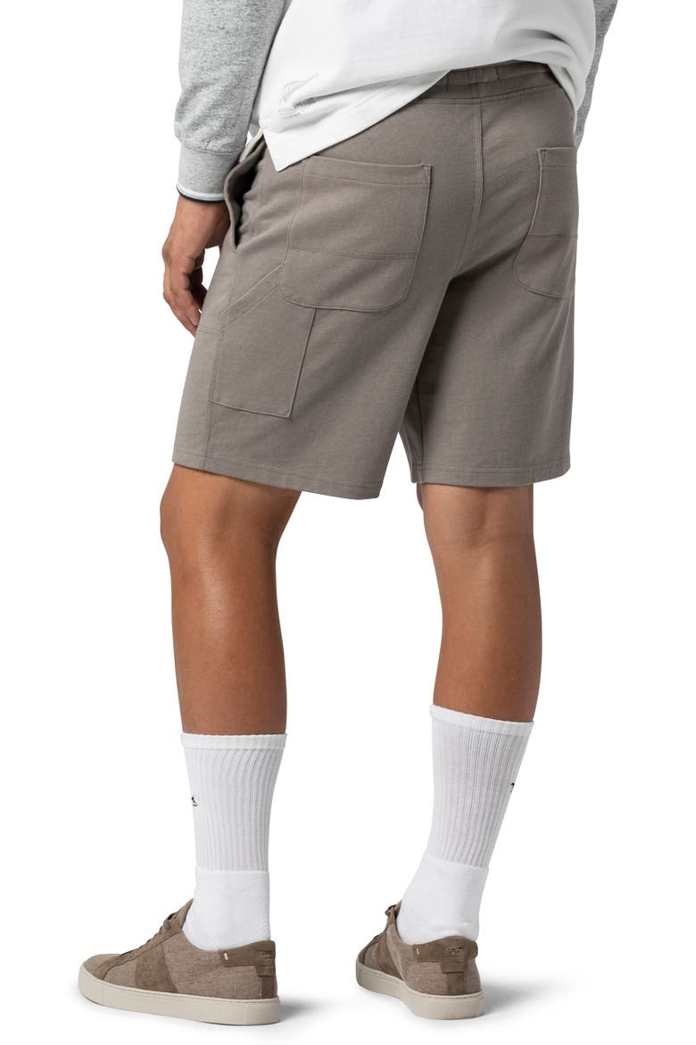 Mount Holdsworth Cotton Shorts, Alternate, color, FAWN