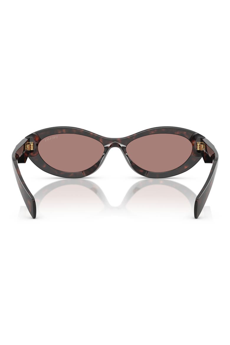 56mm Oval Sunglasses, Alternate, color, BROWN TORTOISE