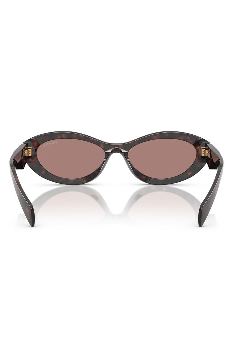 Prada 56mm Oval Sunglasses, Alternate, color, Brown Tortoise
