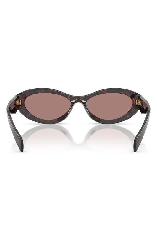 Prada 56mm Oval Sunglasses In Brown Tortoise