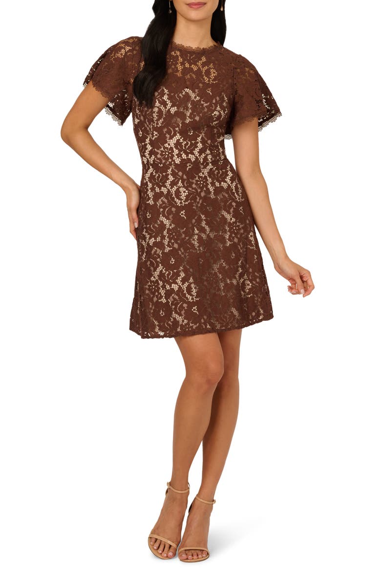 Adrianna Papell Flutter Sleeve Lace Dress, Main, color, Espresso