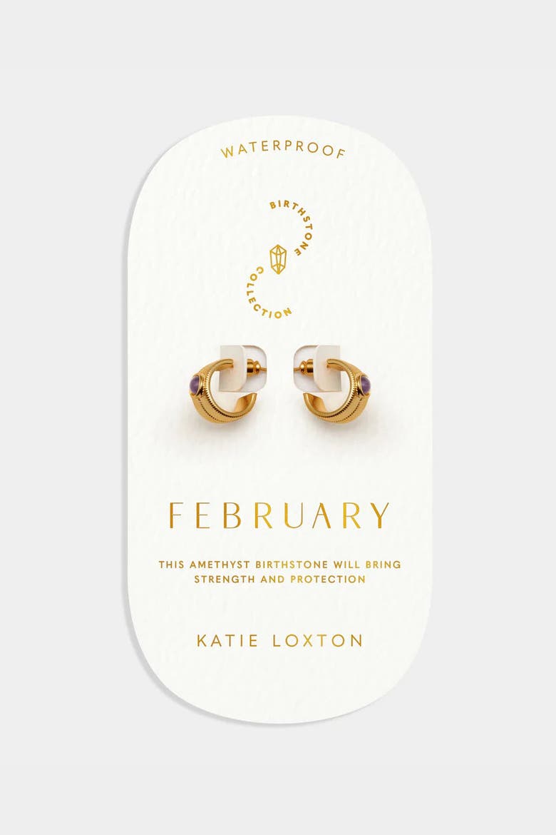 'February' Waterproof Gold Birthstone Hoop Earrings, Main, color, February