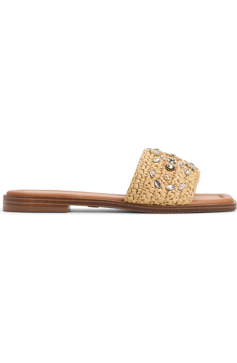 ALDO Coralynne Slide Sandal, Alternate, color,