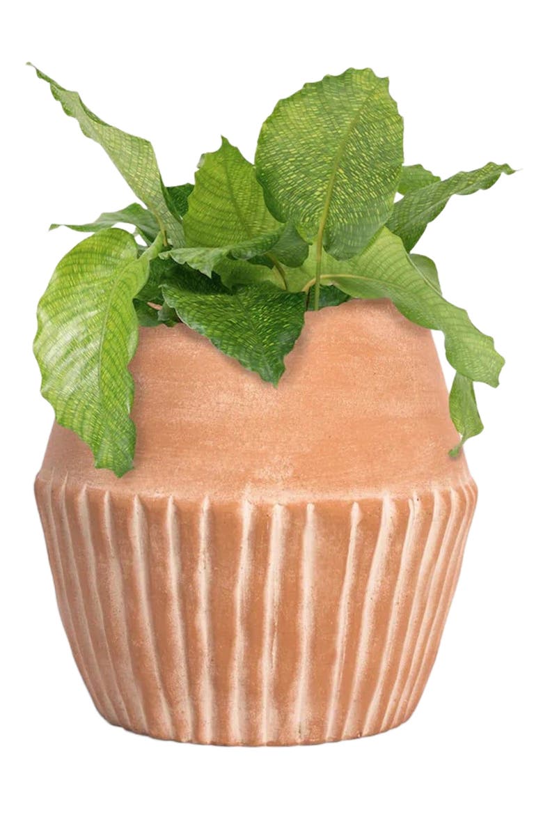 Valentina Planter, Alternate, color, Natural