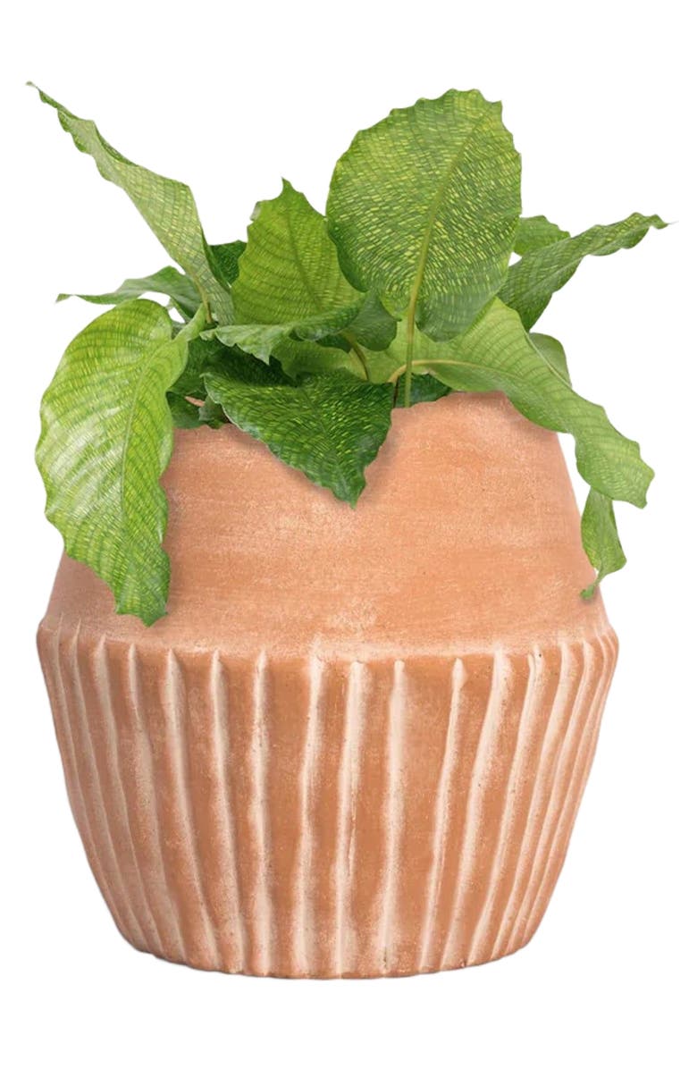 Meso Goods Valentina Planter, Alternate, color, Natural