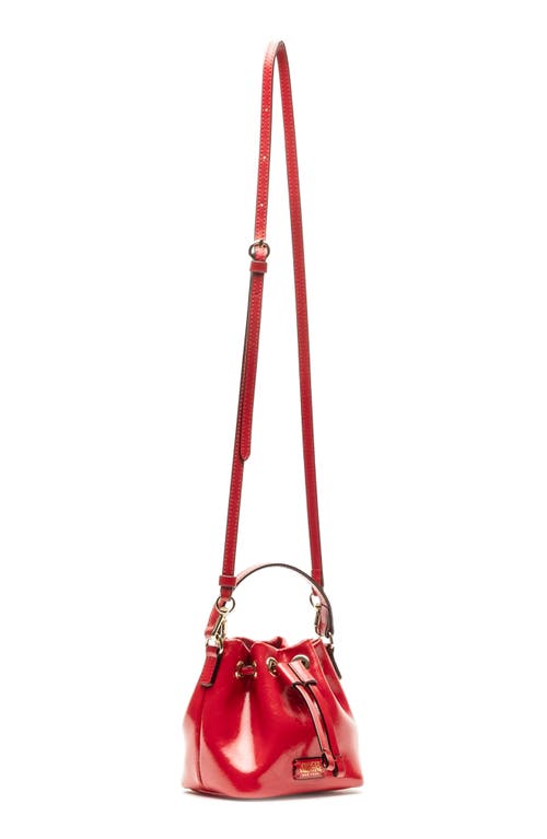 Frances Valentine Minnie Leather Bucket Bag In Red