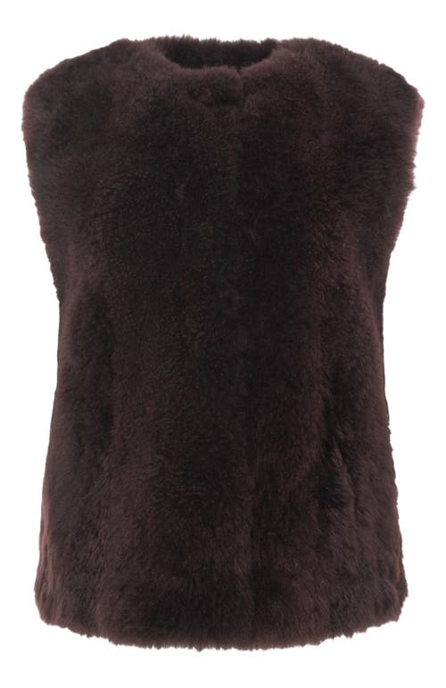 Gorski Cashmere Goat Vest In Black