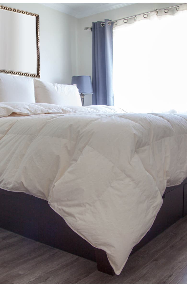 Allied Home Down Alternative Comforter with Organic Cotton Cover, Main, color, Natural