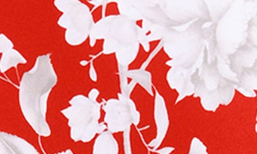 L Agence L'agence Lisa Ikebana Belted Floral One-piece Swimsuit In Rouge