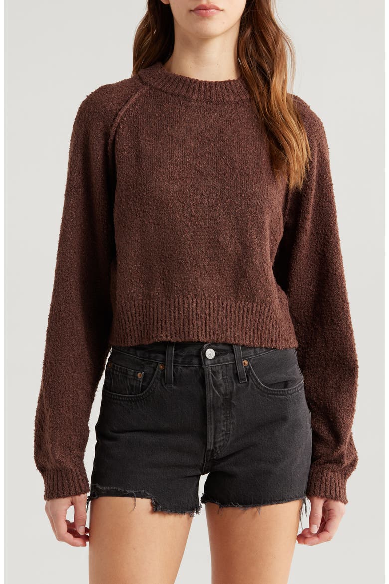 Snug Raglan Sleeve Crop Sweater, Main, color, FRENCH ROAST