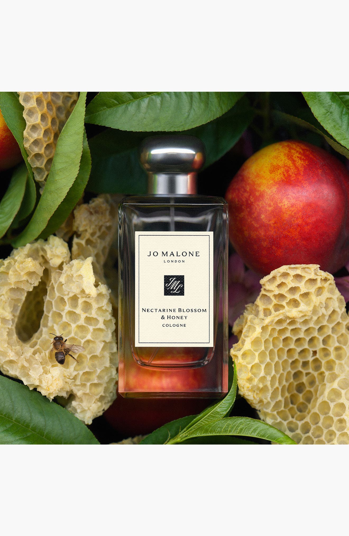 香水(女性用) Jo Malone London Cologne Collection Jo Malone London™ Art of Scent Discovery Cologne Set (Nordstrom