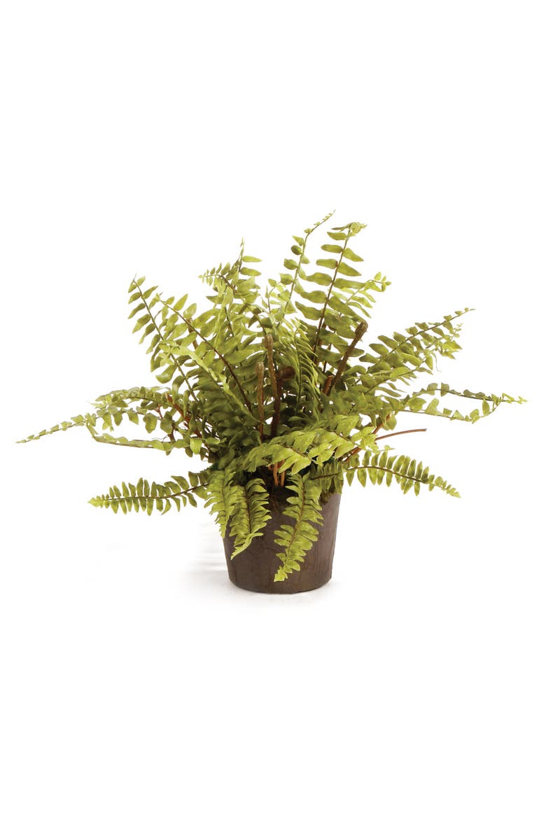 Boston Fern Drop-In 12", Main, color, Green
