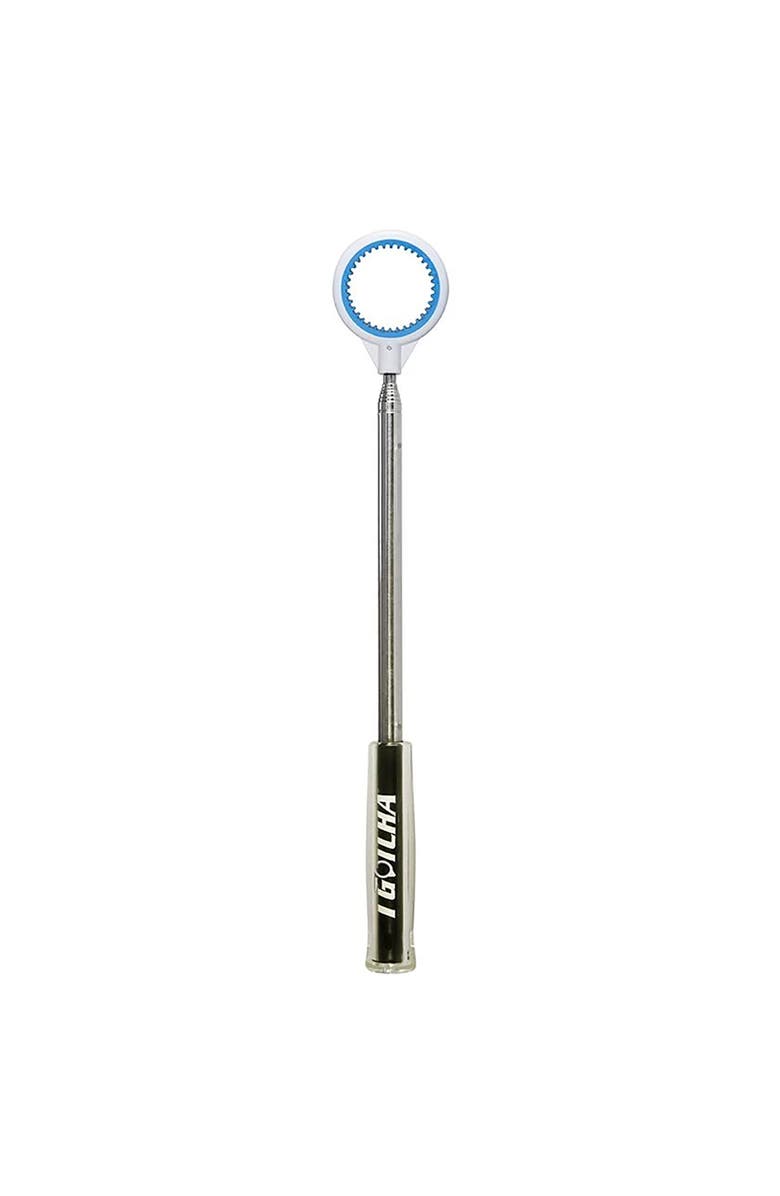 I Gotcha Jawz 6ft w/10ft Reach Golf Ball Retriever, Main, color, Silver