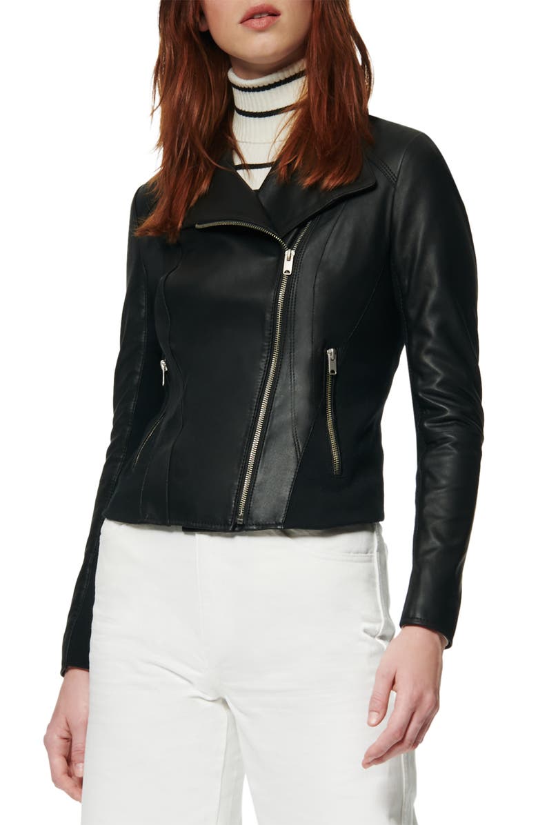 Andrew Marc Marc New York by Andrew Marc Felix Stand Collar Leather Jacket, Main, color, 