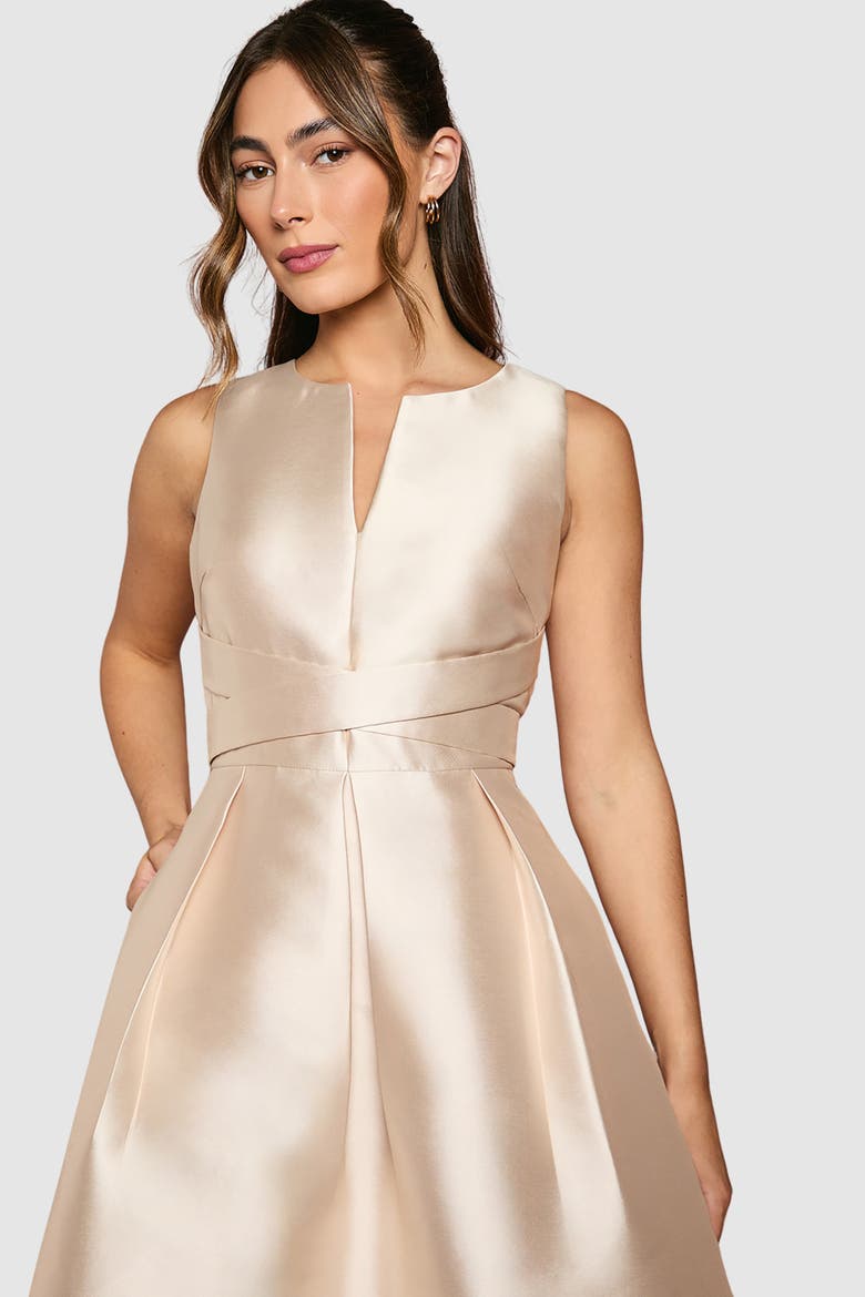 Fit And Flare Sleeveless Dress, Alternate, color, Champagne