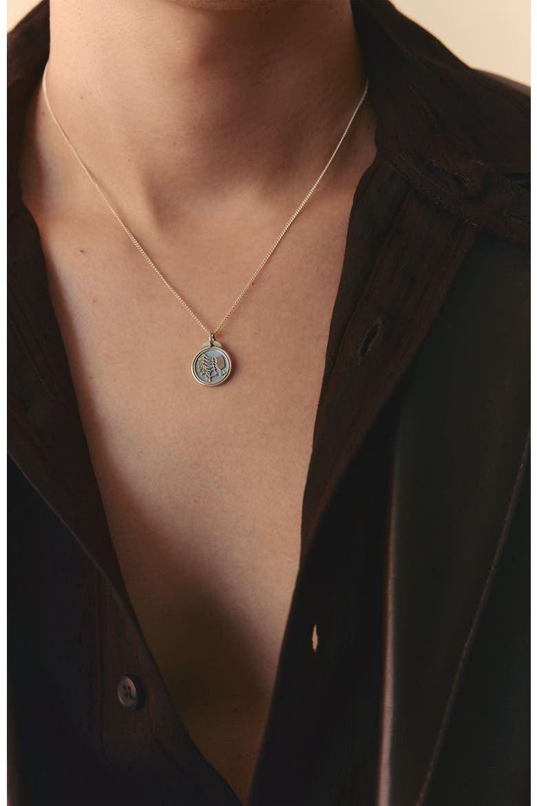 Royal Horse Pendant Necklace, Alternate, color, Silver