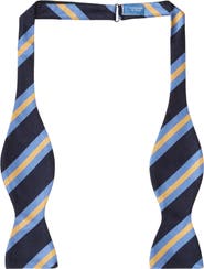 Robert Talbott Bond Self-Tie Signature Repp Silk Bowtie