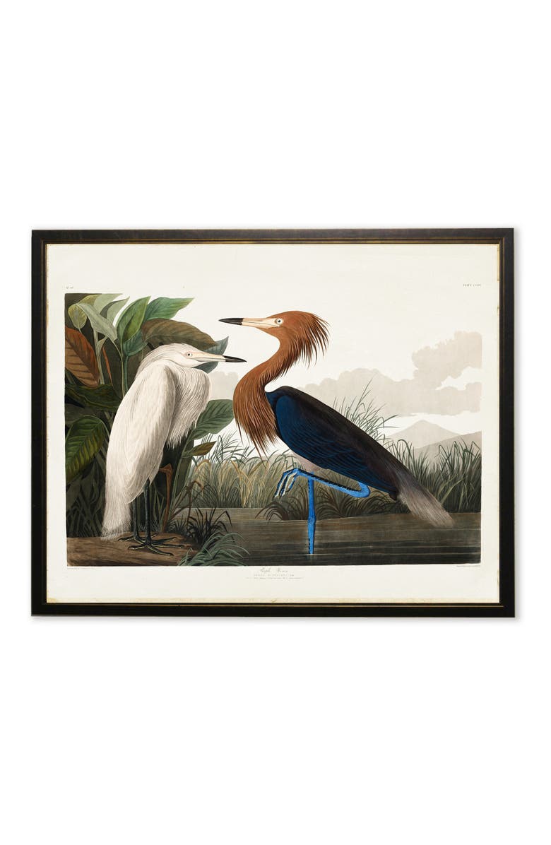 Antique Curiosities Two Herons in Black and Copper Frame, Main, color, Multi