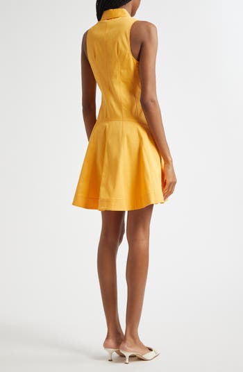 Poppy Sleeveless Stretch Twill Shirtdress