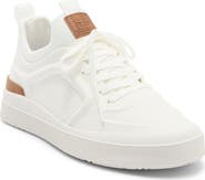 Steve Madden Pagoda Sneaker