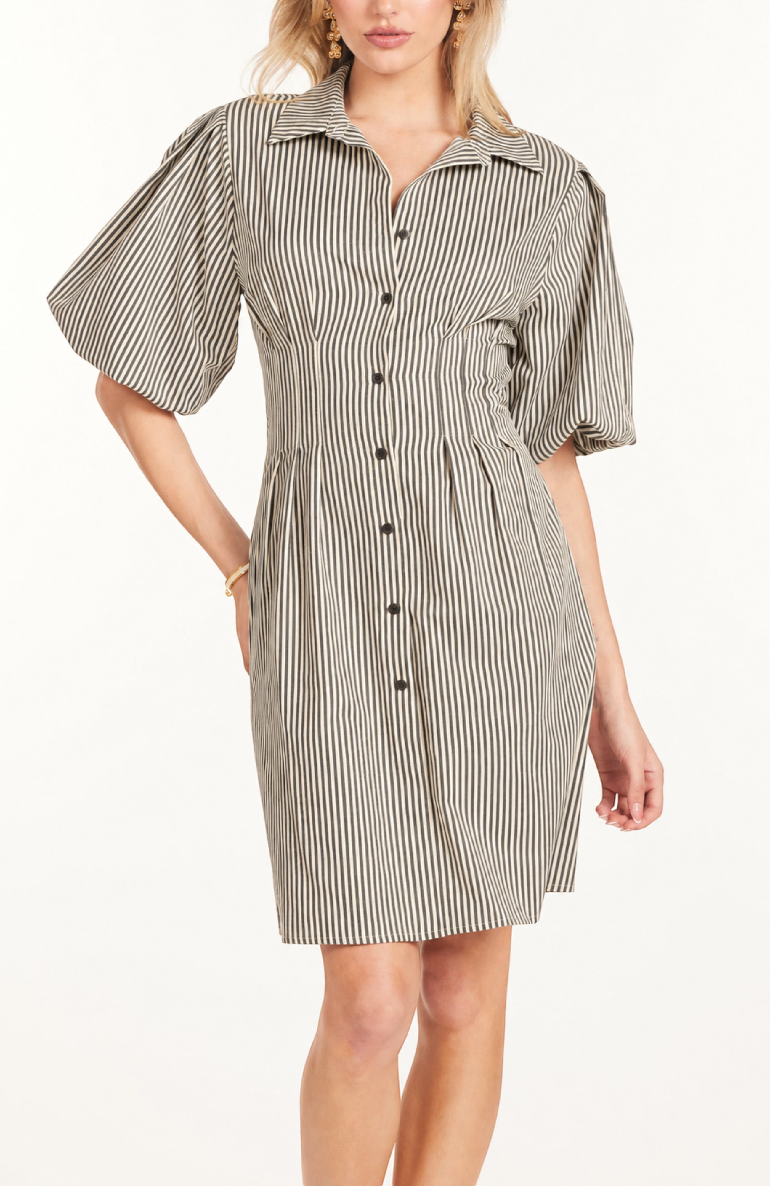 selected Black Stripe