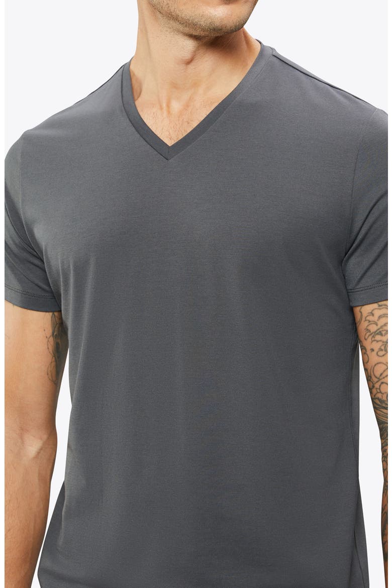 AO V-Neck Curved Hem Tee, Alternate, color, GRAPHITE