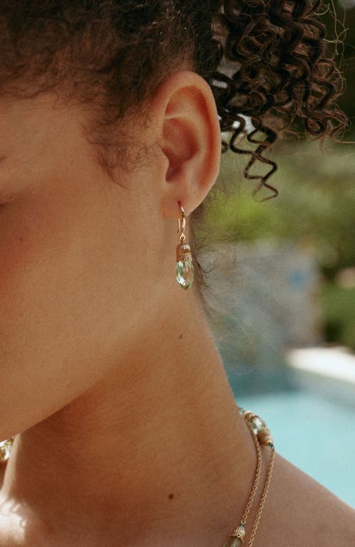 Rc Retro Chic Nut Fairy Charm Earrings In Green