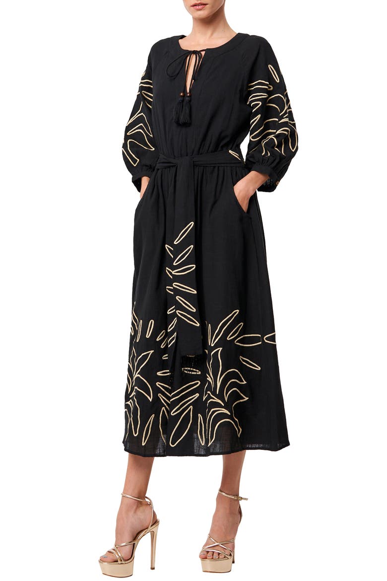 Eliza Embroidered A-Line Dress, Alternate, color, BLACK