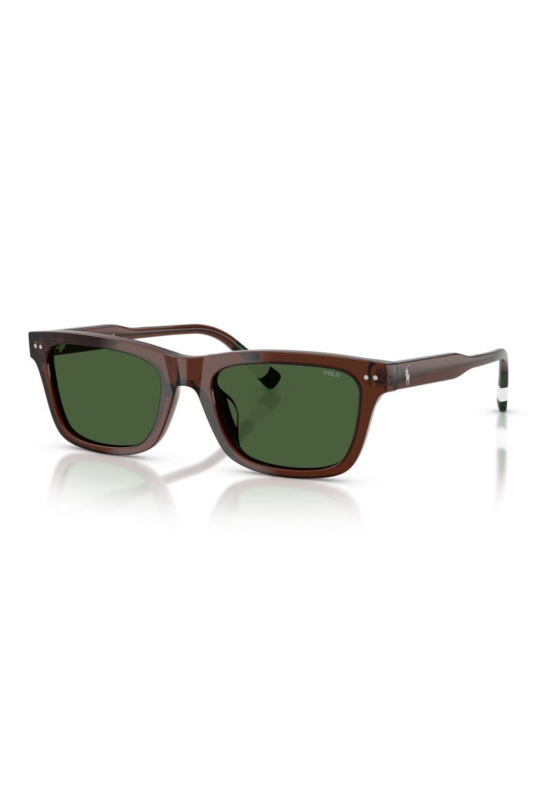 54mm Phantos Sunglasses, Main, color, TRANSPARENT BROWN / GREEN