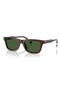  Transparent Brown / Green