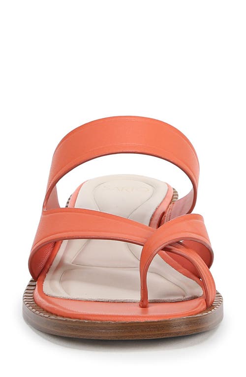 SARTO BY FRANCO SARTO SARTO BY FRANCO SARTO SAYLOR SLIDE SANDAL 