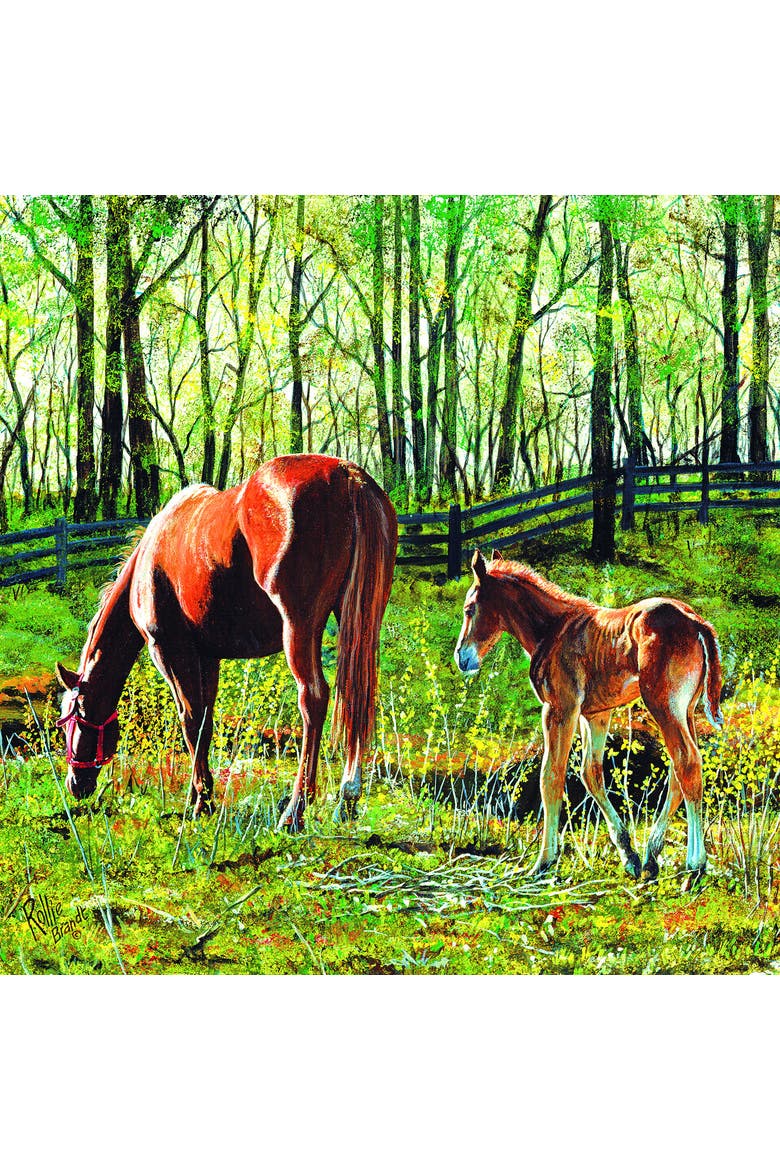 Tag Along 500 piece Jigsaw Puzzle for Adults, Alternate, color, Multicolor