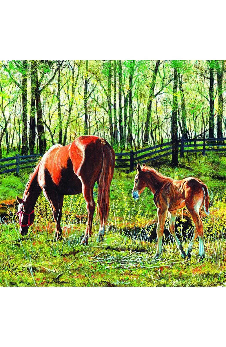 Sunsout Tag Along 500 piece Jigsaw Puzzle for Adults, Alternate, color, Multicolor