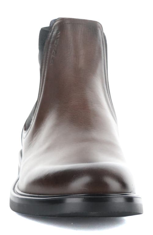 Ambitious Chelsea Boot In Brown