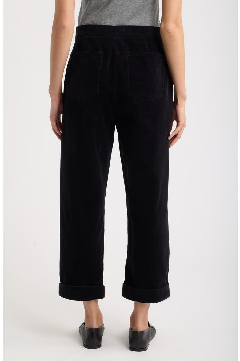 Straight Leg Ankle Pants, Alternate, color, BLACK