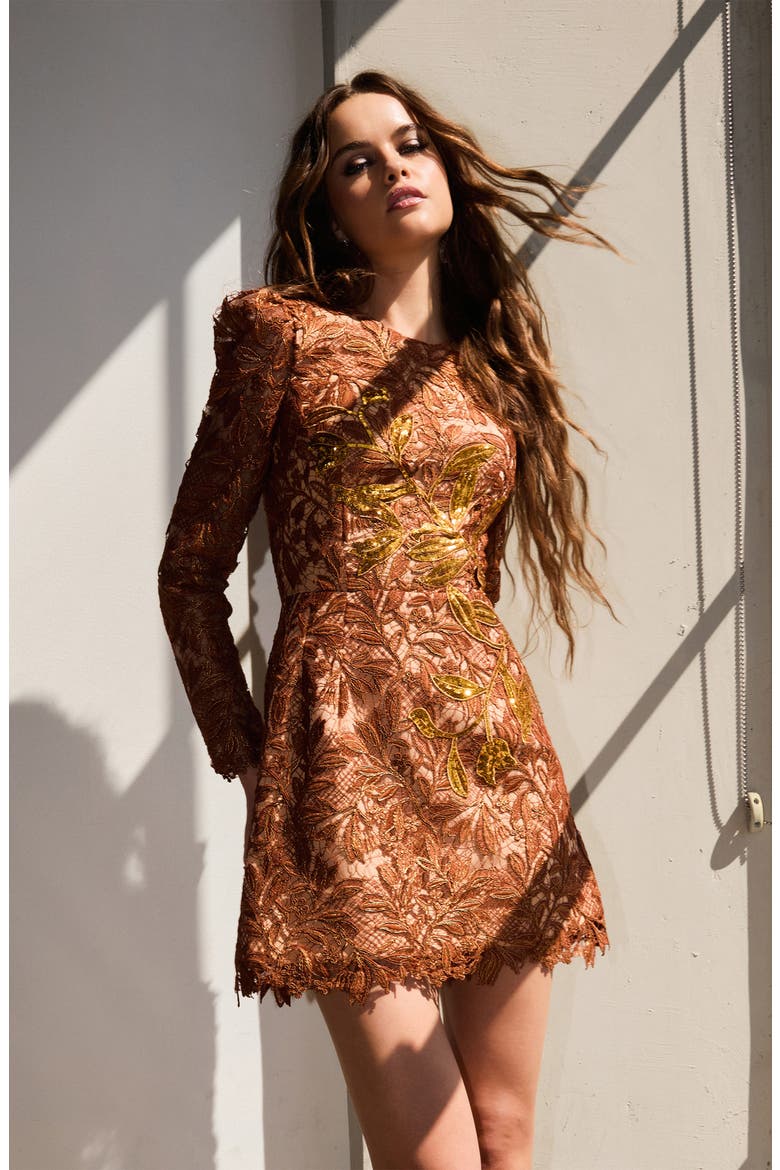 Savannah Embroidered Long Sleeve Minidress, Alternate, color, COPPER