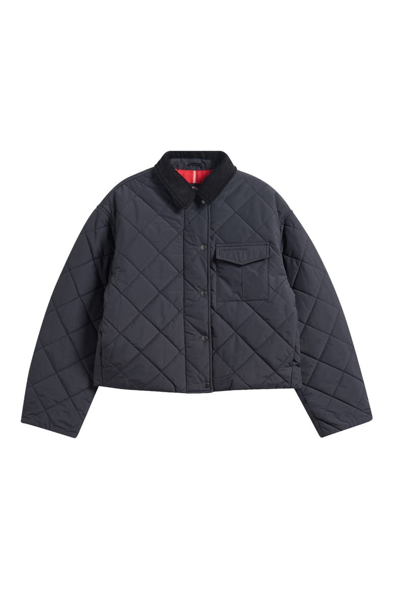 Terra Water Repellent Quilted Jacket, Main, color, BLACK - NOIR