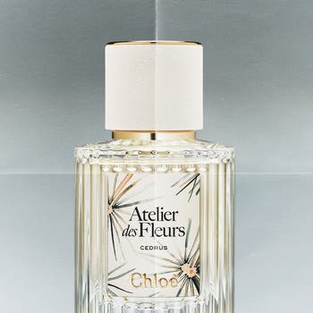 Chloé Atelier des Fleurs Cedrus ekFN1QvGQ8-